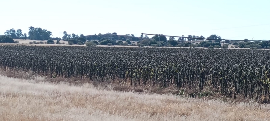 0 Bedroom Property for Sale in Petrusburg Free State